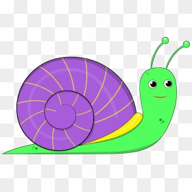 Leaf,snail,area - Clip Art On Snail, HD Png Download - shell clipart png