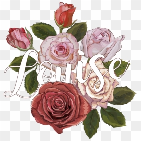 T Shirt Personalizada Vintage Ramo De Flores - Garden Roses, HD Png Download - ramo de flores png