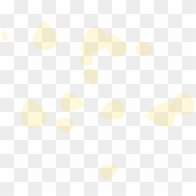 Tree Yellow Leaf Clipart Vector, Tree Png Plan, Tree - Shell, Transparent Png - shell clipart png