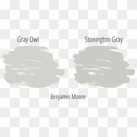 Gray Owl And Stonington Gray From Benjamin Moore Paint - Launch Day, HD Png Download - paint swatch png