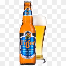 Tiger Beer Bottle Png, Transparent Png - cerveja png