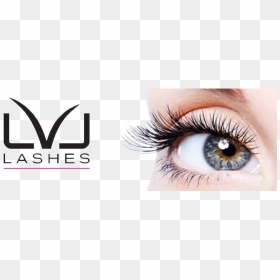 Lvl Lashes At Springs Beauty - Eyelash Extensions, HD Png Download - lash png