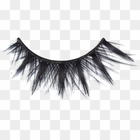 Scarlett Huda Lashes, HD Png Download - lash png