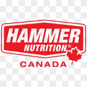 Hammer Nutrition, HD Png Download - hammer vector png
