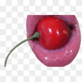 Cherry Lips Red Aesthetic Vaporwave Grunge Vintage - Vaporwave Grunge Aesthetic Png, Transparent Png - tumblr borders png