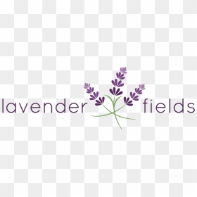 Lavender Flower Png - Lavender Flower Graphic Design, Transparent Png - lavender flower png