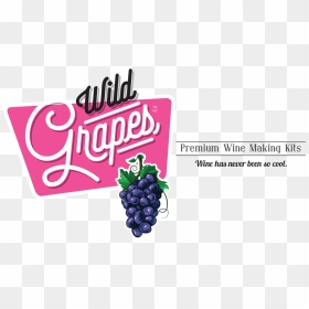 Premium Wine-making Kits - Seedless Fruit, HD Png Download - wine grapes png