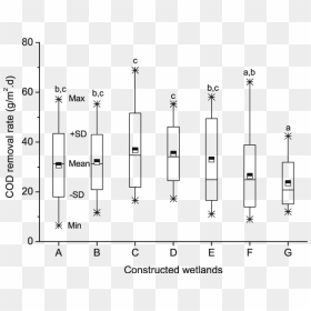 Diagram, HD Png Download - cattail png