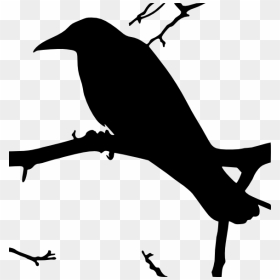 Transparent Raven Flying Png - Raven Clip Art Svg, Png Download - raven flying png