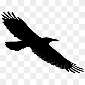 Raven With Transparent Background - Transparent Background Raven Flying Gif, HD Png Download - raven flying png