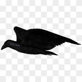 Raven Flying Up - Fish Products, HD Png Download - raven flying png
