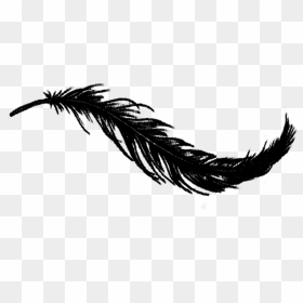 Raven Feather Png - Transparent Background Black Feather Png, Png Download - raven flying png