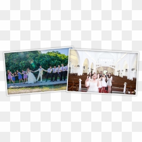 Transparent Wedding Arch Png - Photograph, Png Download - wedding arch png