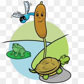 Cover Art, HD Png Download - cattail png