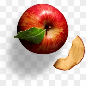 Red Apple Fruits Png Transparent Images Clipart Icons - Apple, Png Download - apple png transparent