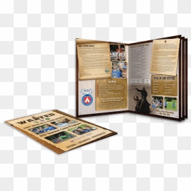 Camp Brochures , Png Download - Graphic Design, Transparent Png - brochures png