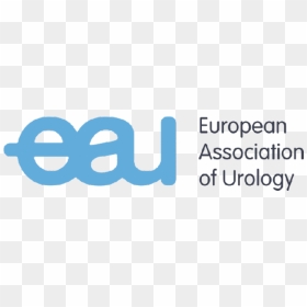 European Urology Guidelines, HD Png Download - shockwave effect png