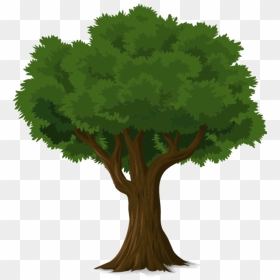 Whole Page Tree Clipart Pintrest Vector Freeuse Library - Tree Drawing Png, Transparent Png - pintrest png