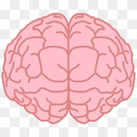 Brain Svg 02 Clipart - Strawberry, HD Png Download - brain .png