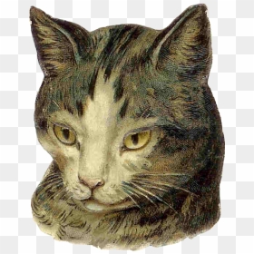 Victorian Cat, HD Png Download - cute kitty png