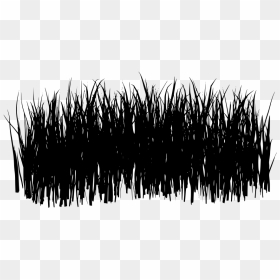 Grass Png Black And White, Transparent Png - bush texture png