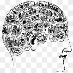 Narrative Brain, HD Png Download - brain .png