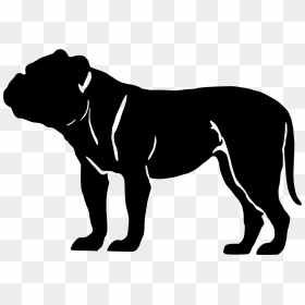 Transparent Pit Bull Clipart - Olde English Bulldog Silhouette, HD Png Download - english bulldog png