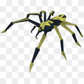 The Runescape Wiki - Tarantula, HD Png Download - spider.png