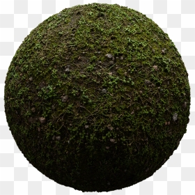 Circle, HD Png Download - bush texture png