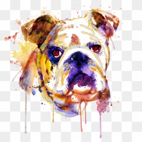 Bleed Area May Not Be Visible - English Bulldog Art, HD Png Download - english bulldog png