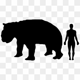 A Diprotodon Size Compared To Modern Human - Giant Panda Compared To Human, HD Png Download - sid the sloth png