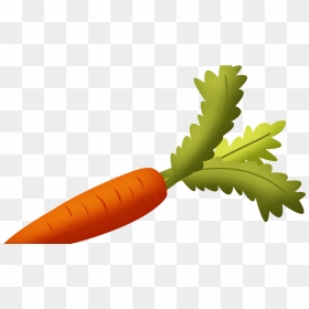 Transparent Vegetables Transparent Png - Carrot Clipart Png, Png Download - vegetables transparent png