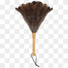 Sketch, HD Png Download - feather duster png
