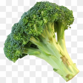 Broccoli Png - Broccoli Compared To Weed, Transparent Png - vegetables transparent png