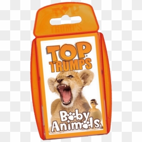 Top Trumps Baby Animals - Cat Yawns, HD Png Download - baby animals png