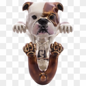 English Bulldog Hug Ring - Olde English Bulldogge, HD Png Download - english bulldog png