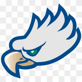 Florida Gulf Coast Eagles Logo, HD Png Download - stanford university logo png