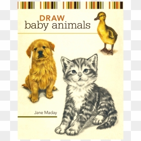 Draw Baby Animals Book, HD Png Download - baby animals png