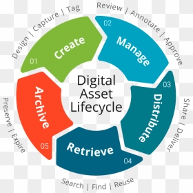 Digital Asset Management Lifecycle, HD Png Download - dam png