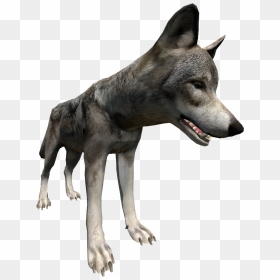 Wolf Close Up Right, HD Png Download - wolf transparent png