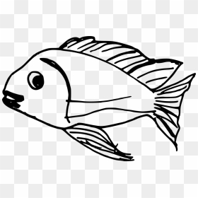 Transparent Fish Png Transparent - Fish Drawing Pic Png, Png Download - dr seuss fish png