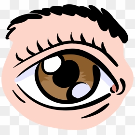 Transparent Human Eye Png - Clipart Auge, Png Download - human eye png