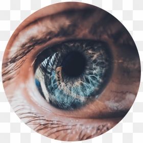 Human Eye - Best Camera Close Up, HD Png Download - human eye png