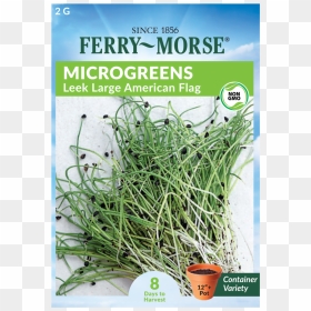 Ferry Morse Microgreen Seed Packet, HD Png Download - leek png
