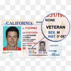 California Veterans Driver's License, HD Png Download - veterans png