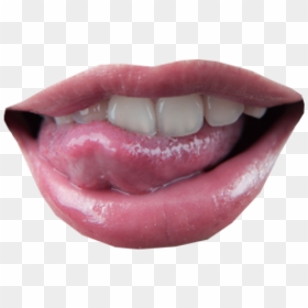 Lips Png Transparent Images - Smiling Lips Transparent Background, Png Download - lips png transparent