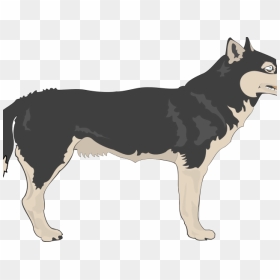 Transparent Wolf Transparent Png - Clipart Wolf With Transparent Background, Png Download - wolf transparent png