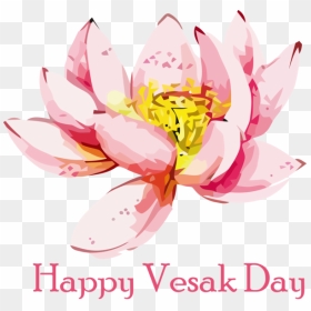 Transparent Vesak Flower Lotus Family Lotus For Buddha - Happy First Day Of December, HD Png Download - lotus flower graphic png