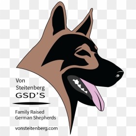German Shepherd Puppies, German Shepherds, Atticus, - Rottweiler And German Shepherd Logo, HD Png Download - shepherd png