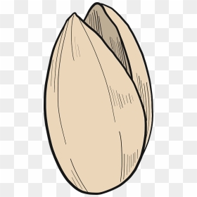 Pistachio Clipart, HD Png Download - pistachio png